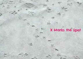 x in sand 2