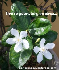 Story Inspires