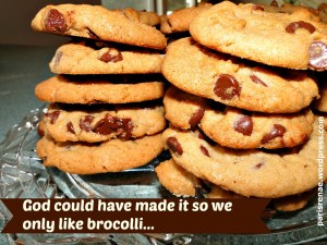 chocolatechipcookiesx