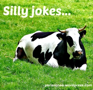 cow sitting pixa (1) x