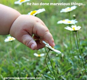 baby hand daisy pixa x