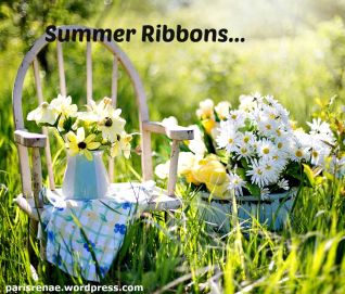 chair daisies in field pixa x