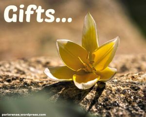 flower with sun pixa x