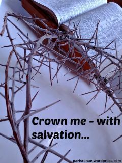 crown of thorns pixa x