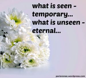 white flowers pixa x