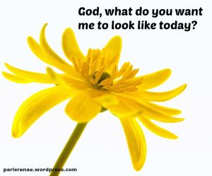 yellow flower pixa x