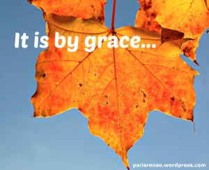 autumn leaf more pixa x