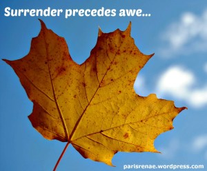 autumn leaf yellow pixa x