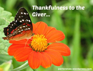 butterfly org flwr pixa x