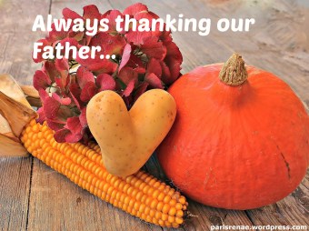 pumpkin veges pixa x