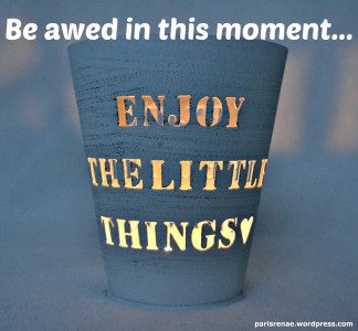 little things light pixa x