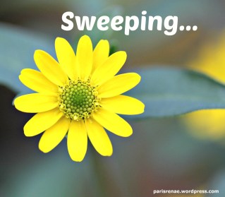 yellow blossom pixa x