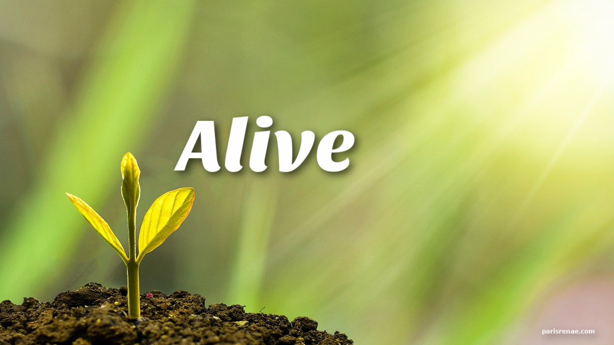 Alive – parisrenae